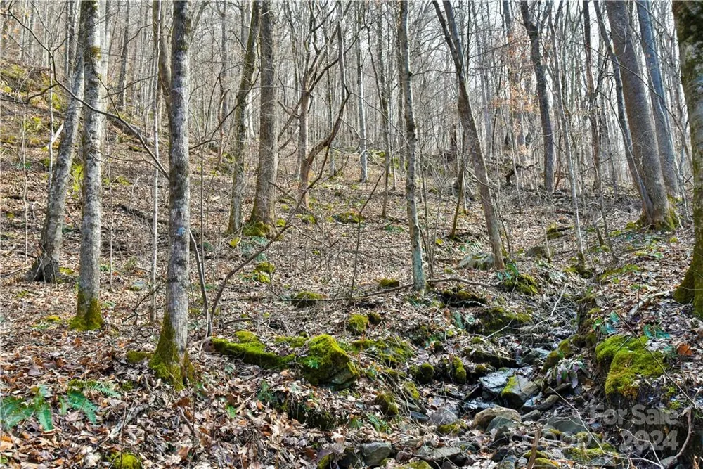 158 Sugar Cove Road Weaverville, NC 28787