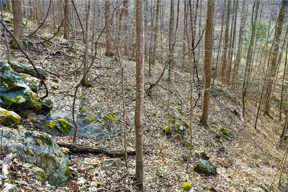 158 Sugar Cove Road Weaverville, NC 28787