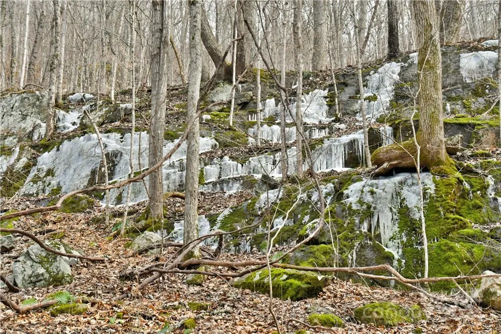 158 Sugar Cove Road Weaverville, NC 28787