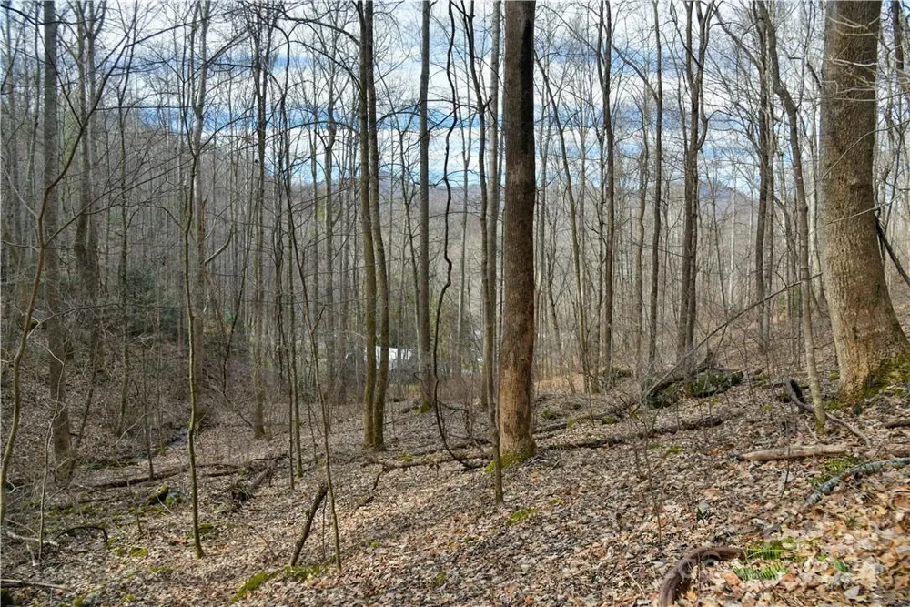 158 Sugar Cove Road Weaverville, NC 28787