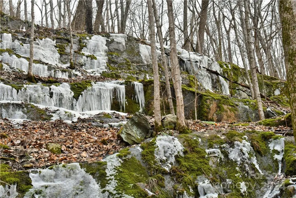 158 Sugar Cove Road Weaverville, NC 28787
