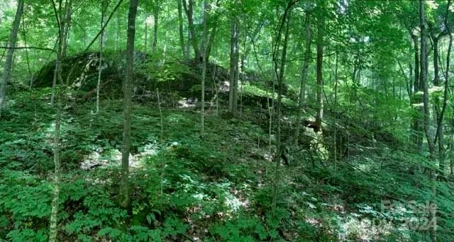 158 Sugar Cove Road Weaverville, NC 28787