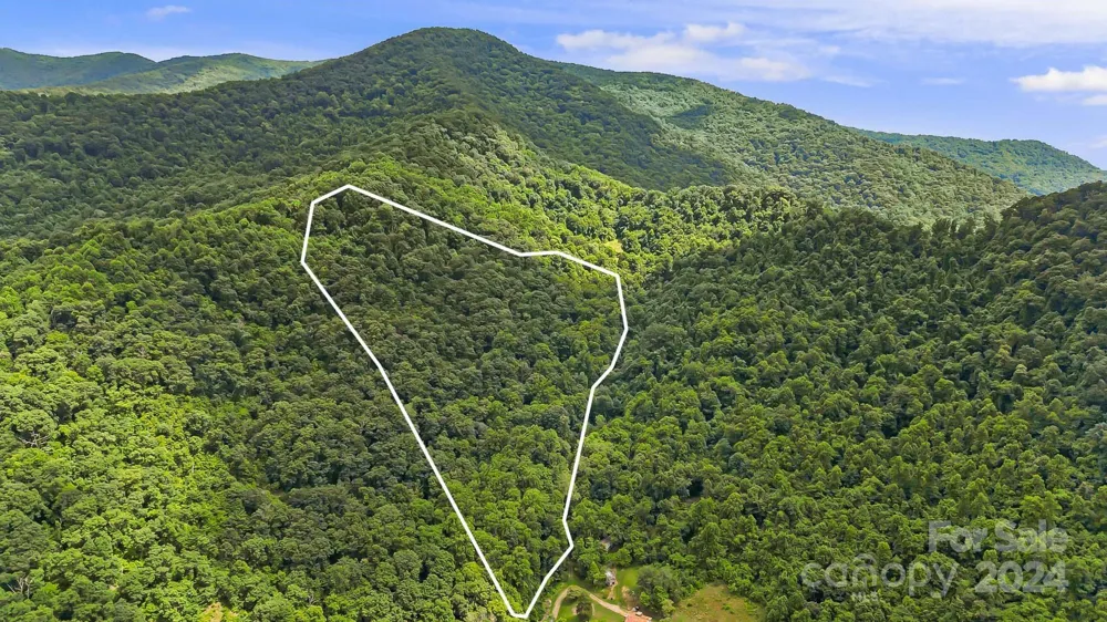158 Sugar Cove Road Weaverville, NC 28787