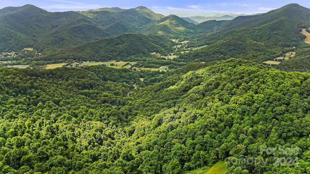 158 Sugar Cove Road Weaverville, NC 28787