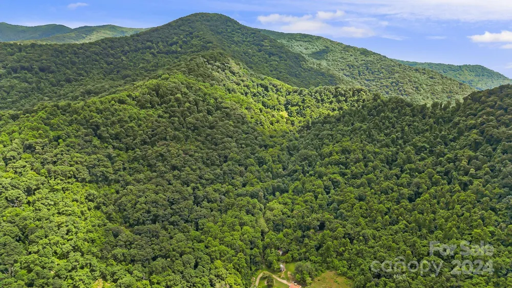 158 Sugar Cove Road Weaverville, NC 28787