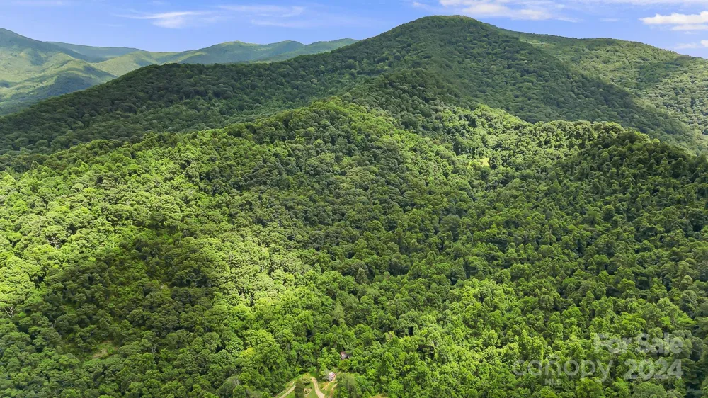 158 Sugar Cove Road Weaverville, NC 28787