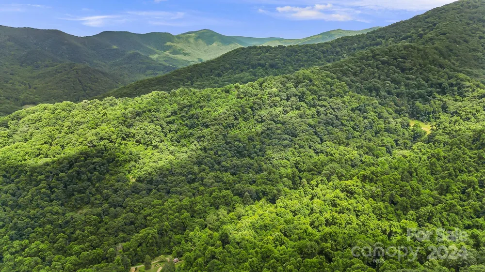 158 Sugar Cove Road Weaverville, NC 28787