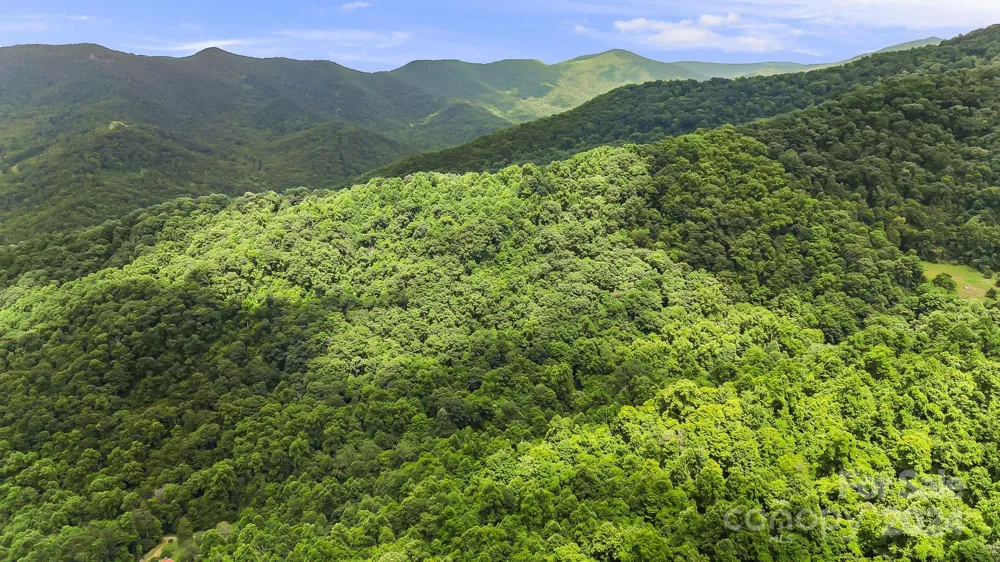 158 Sugar Cove Road Weaverville, NC 28787