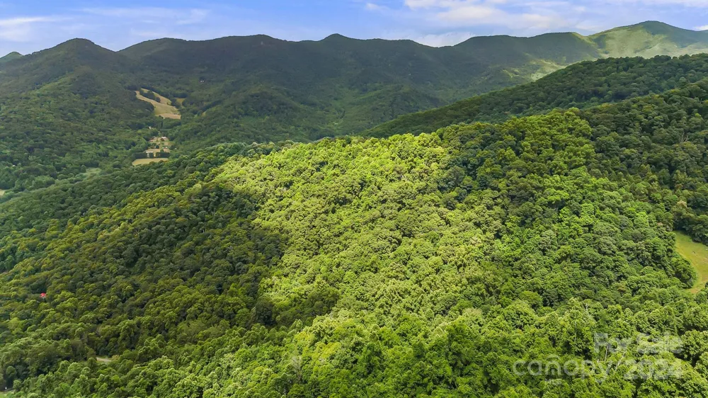 158 Sugar Cove Road Weaverville, NC 28787
