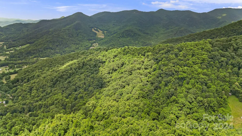 158 Sugar Cove Road Weaverville, NC 28787