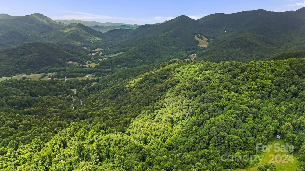 158 Sugar Cove Road Weaverville, NC 28787