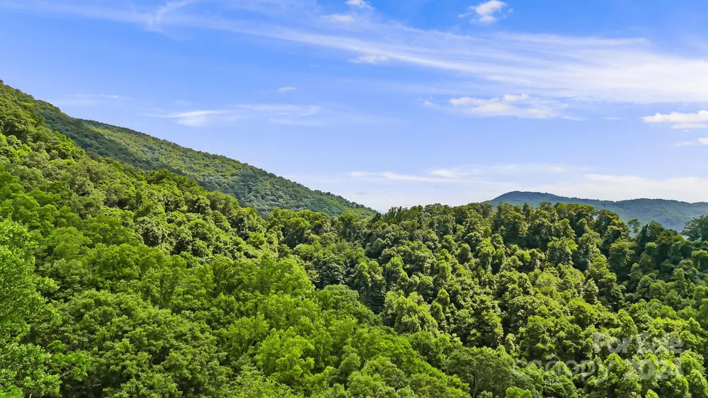 158 Sugar Cove Road Weaverville, NC 28787