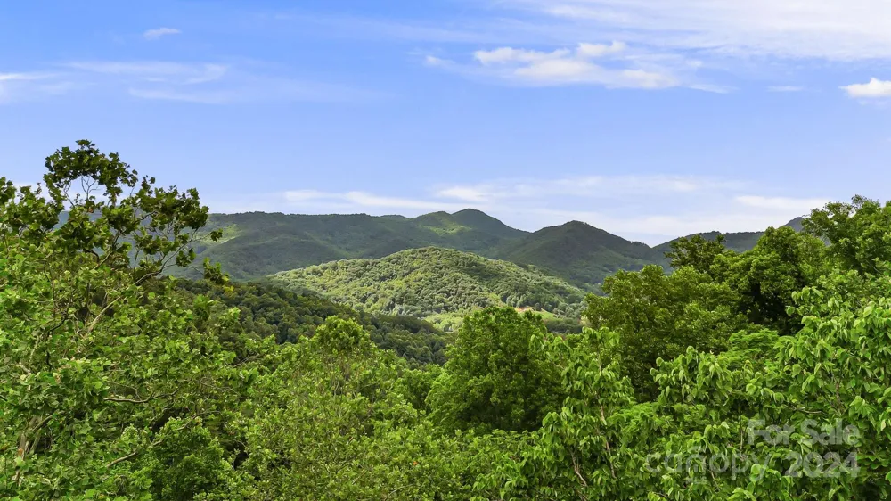 158 Sugar Cove Road Weaverville, NC 28787