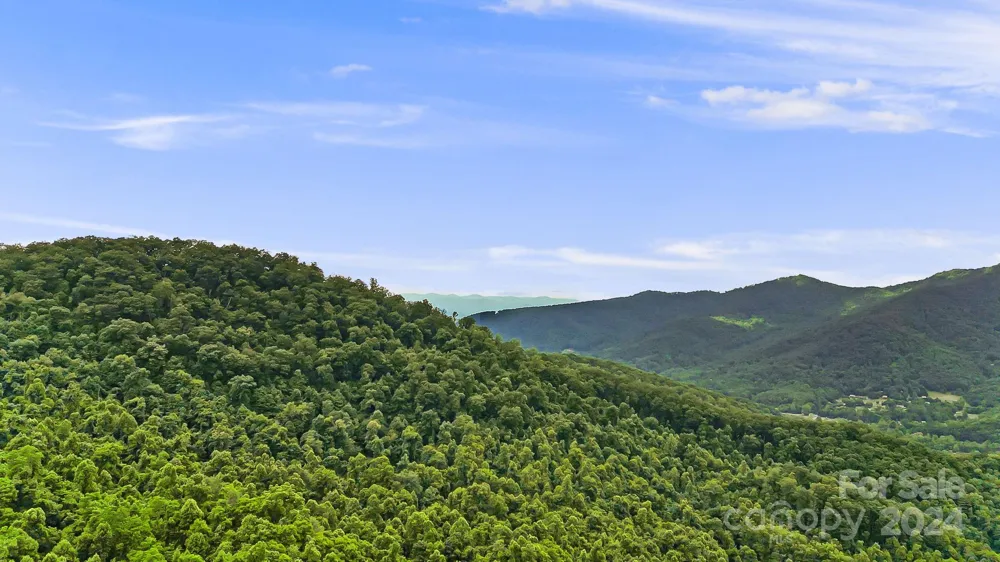 158 Sugar Cove Road Weaverville, NC 28787