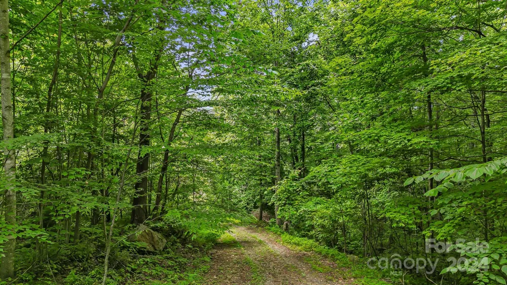 158 Sugar Cove Road Weaverville, NC 28787