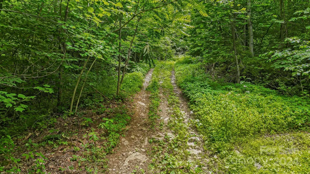 158 Sugar Cove Road Weaverville, NC 28787