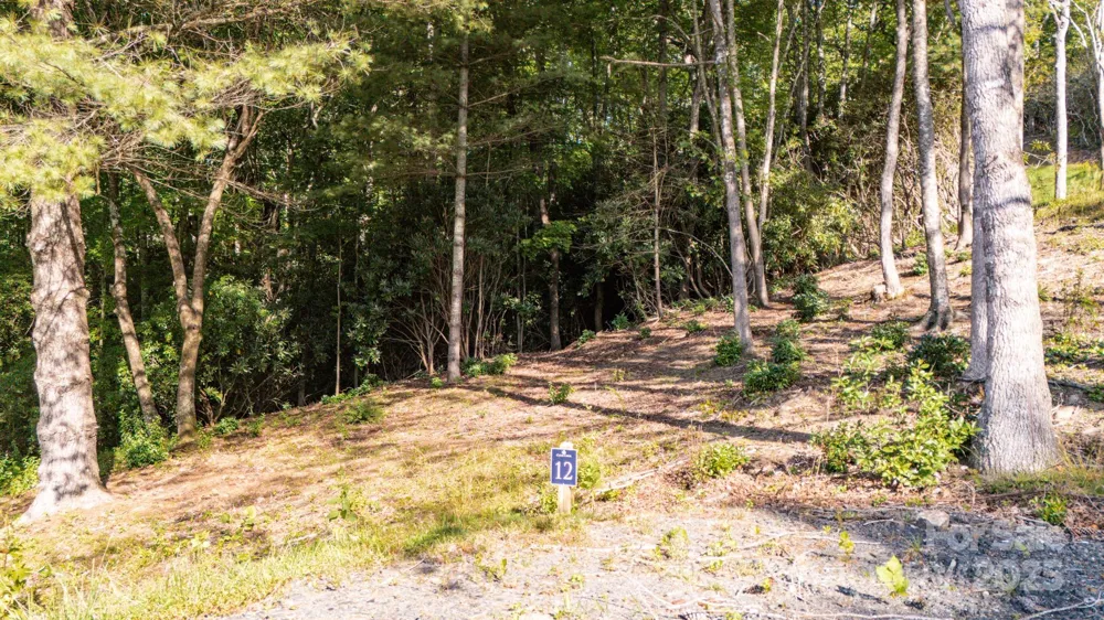 0 Clear Creek Drive #12 Spruce Pine, NC 28777