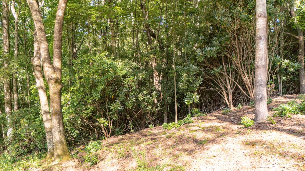 0 Clear Creek Drive #12 Spruce Pine, NC 28777