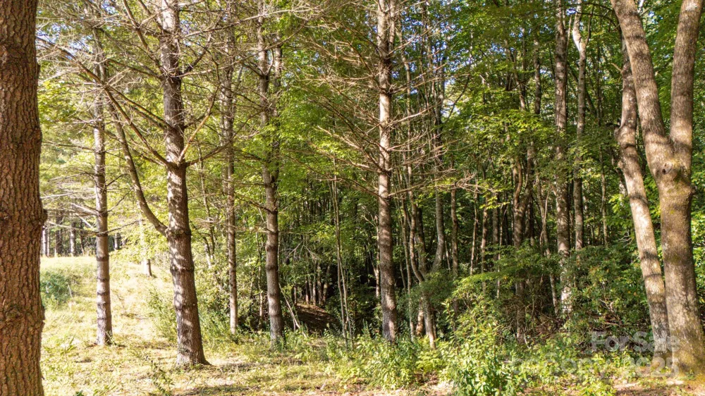 0 Clear Creek Drive #12 Spruce Pine, NC 28777