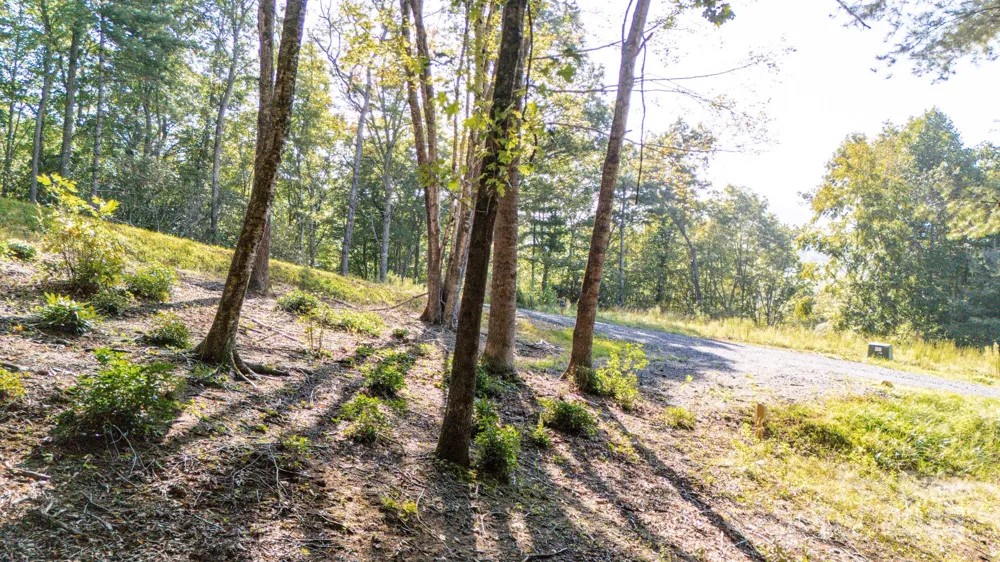 0 Clear Creek Drive #12 Spruce Pine, NC 28777