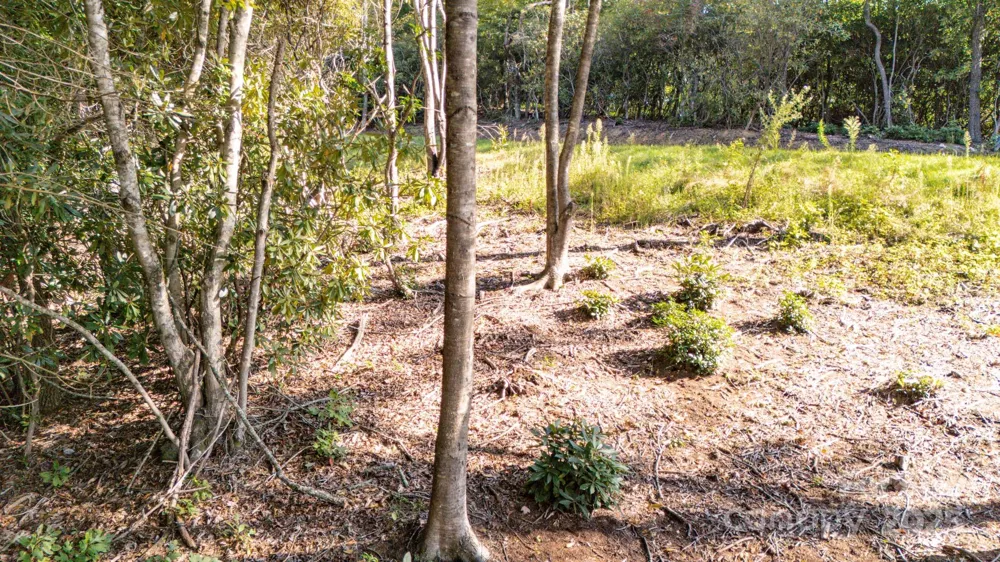 0 Clear Creek Drive #12 Spruce Pine, NC 28777