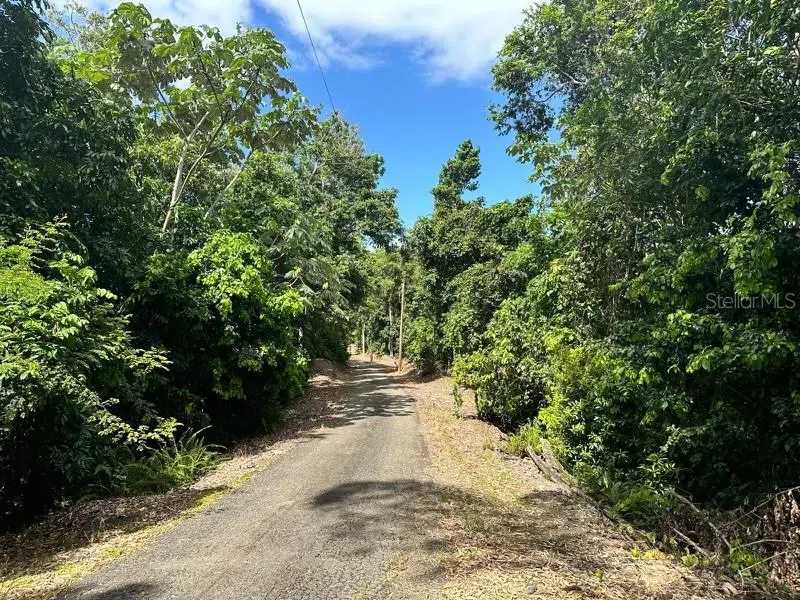 Road PR-140 km 34.2 BARRIO DON ALONSO Utuado, PR 00641