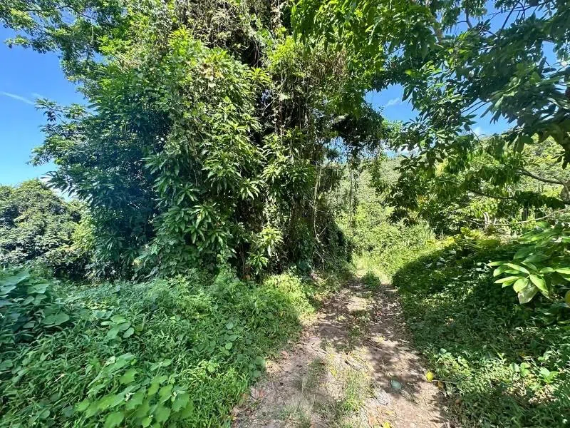 Road PR-140 km 34.2 BARRIO DON ALONSO Utuado, PR 00641