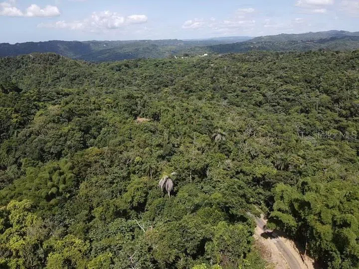 Road PR-140 km 34.2 BARRIO DON ALONSO Utuado, PR 00641