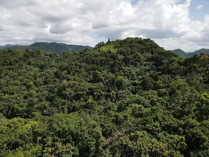 Road PR-140 km 34.2 BARRIO DON ALONSO Utuado, PR 00641