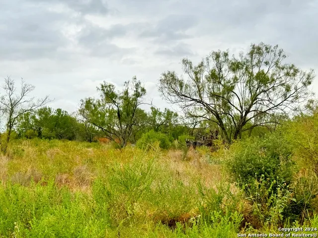103 CR 2636 Devine, TX 78016