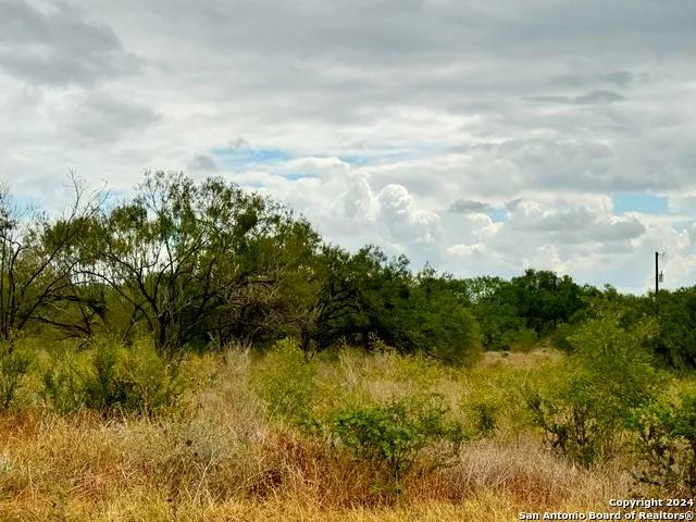 103 CR 2636 Devine, TX 78016
