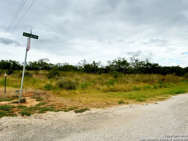 103 CR 2636 Devine, TX 78016