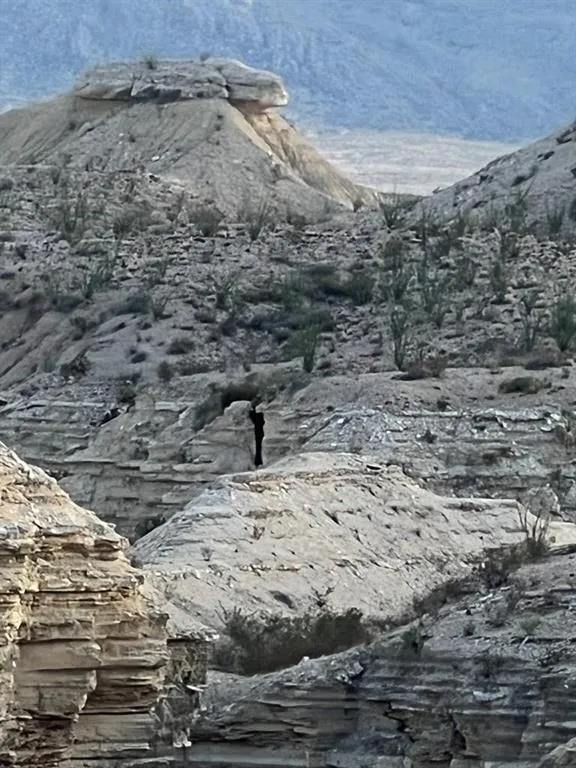 100 Needle Peek Road Terlingua, TX 79852