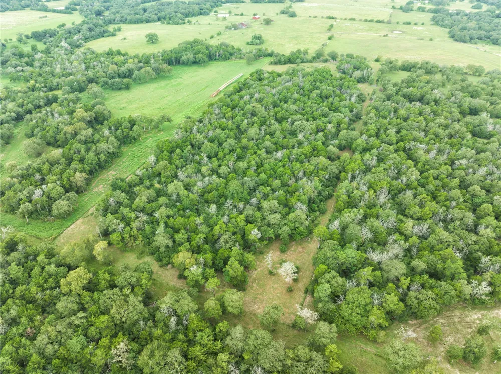 4744 Freyburg Hall Road Schulenburg, TX 78956