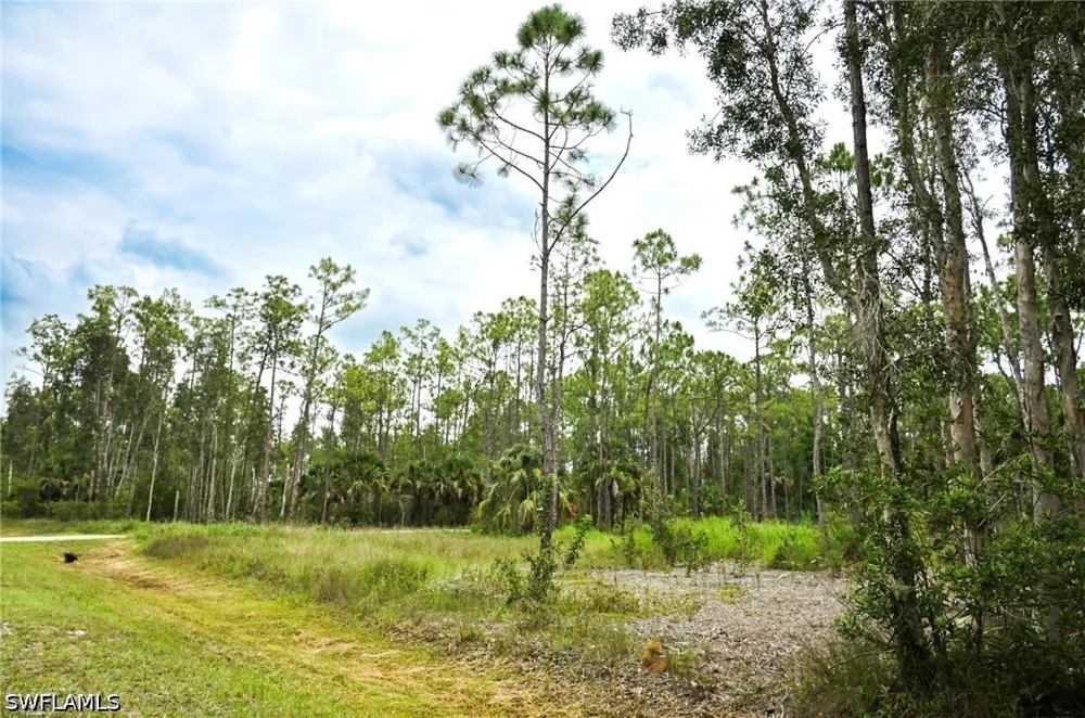 Rocky Road Bonita Springs, FL 34135