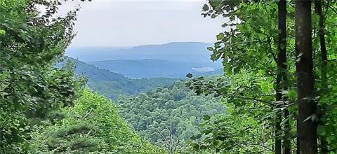 Lot 15 Dogwood Road
