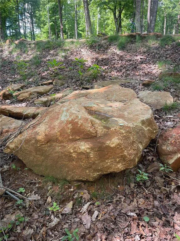 Lot 15 Dogwood Road Moravian Falls, NC 28654