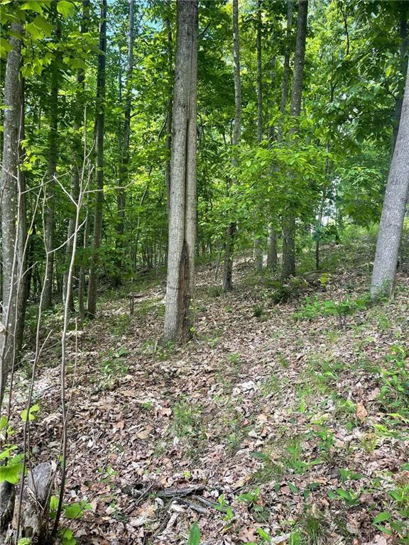 Lot 15 Dogwood Road Moravian Falls, NC 28654