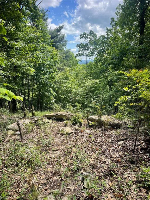 Lot 15 Dogwood Road Moravian Falls, NC 28654