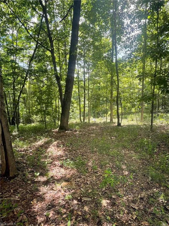 Lot 15 Dogwood Road Moravian Falls, NC 28654