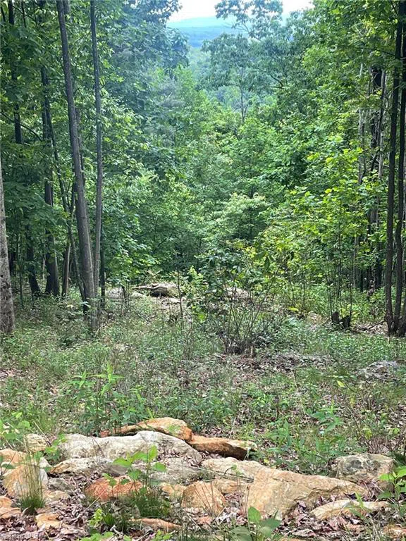 Lot 15 Dogwood Road Moravian Falls, NC 28654