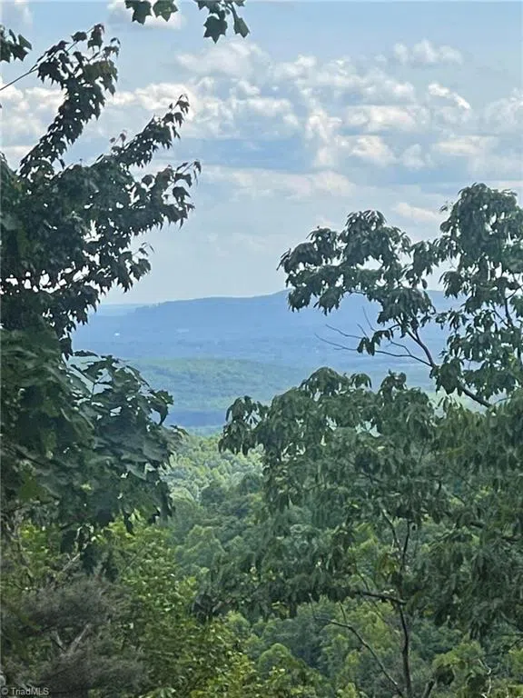 Lot 15 Dogwood Road Moravian Falls, NC 28654