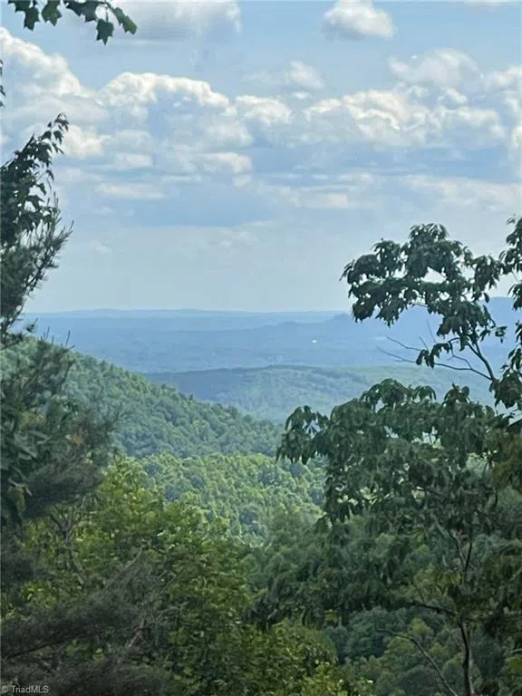 Lot 15 Dogwood Road Moravian Falls, NC 28654