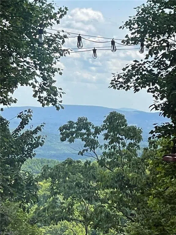Lot 15 Dogwood Road Moravian Falls, NC 28654