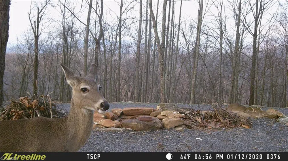 Lot 15 Dogwood Road Moravian Falls, NC 28654