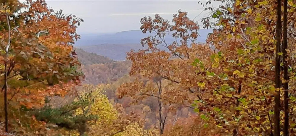 Lot 15 Dogwood Road Moravian Falls, NC 28654