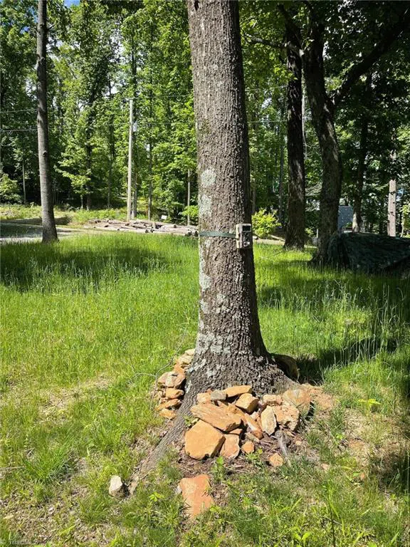 Lot 15 Dogwood Road Moravian Falls, NC 28654
