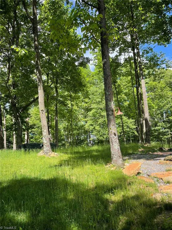 Lot 15 Dogwood Road Moravian Falls, NC 28654