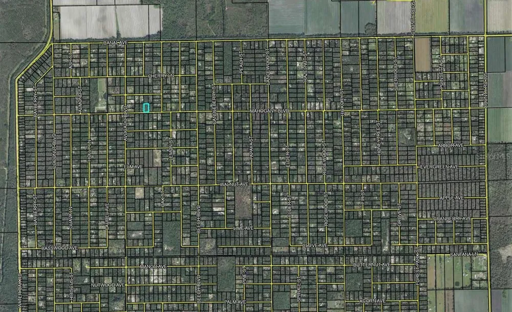 5814 MAHOGANY BOULEVARD Bunnell, FL 32110