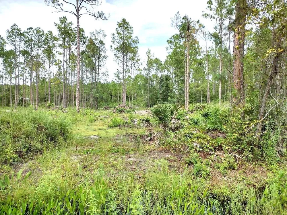 5814 MAHOGANY BOULEVARD Bunnell, FL 32110